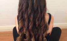 Brown Braid & Curls