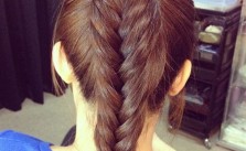 Ponytail Braided