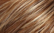 Dark Chestnut Highlights