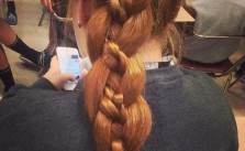 4 Strand within Braid