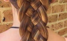 Ombre & Dutch Braid