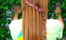 Braid & Little Flowers