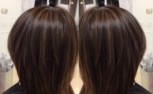 Dark Brown Highlights & Cut