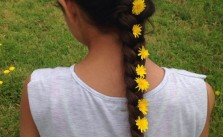 Daises in Braid