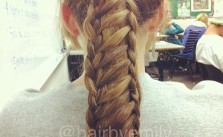 Ponytail Ladder Braid