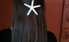 Starfish Hairclip