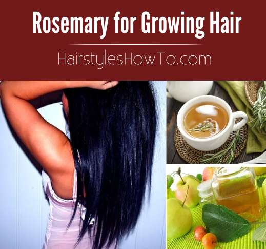 Rosemary for Growing Hair