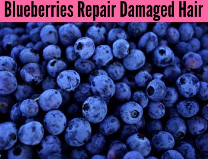 blueberries repair damaged hair