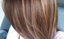 Dark Brown with Highlights Dark Brown with Highlights