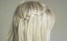 Pinned Braids
