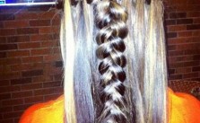 Braids & High Lights