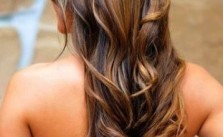 Half Up Brown Hair