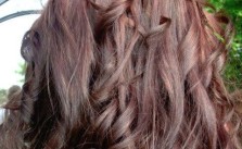 Brown Hair Braid Twist