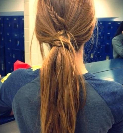 braid with ponytail