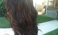 Subtle Brown Highlights