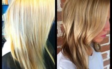 Blonde to Bronde