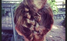 Braid in Back & Bun