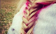 Braid with Pink