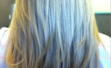 Long Hair Short Layers