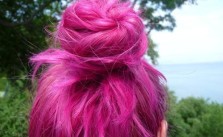 Magenta Bun