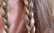 Braid Plaits