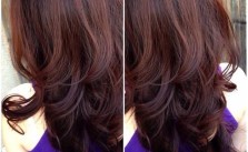 Plum Hair Color