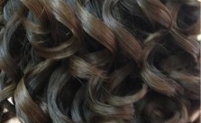 Dark Bouncy Curls