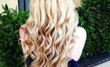 Half Crown Braid