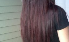 Red Brown Layers