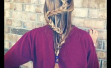 Cute Snake Braid