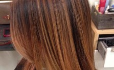 Brown Highlights