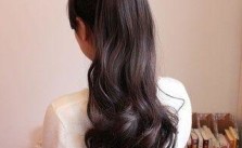 Bouncy Ponytail