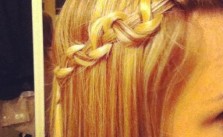 Snake Braid