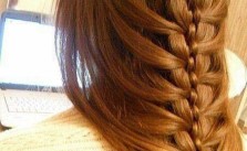 Trenza Braid