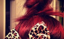 Cheetah Bow