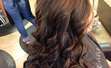 Color, Cut & Style