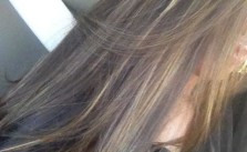 Light Brown with Highlights