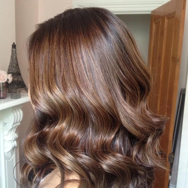 Red to chocolate brown with golden brown highlights