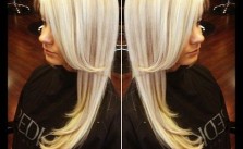 Blonde Brown Highlights