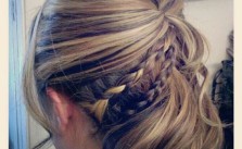 Braid Side Do