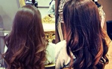 Curly Black & Brown