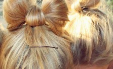 Who Loves Bows?