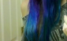 Peacock Colors