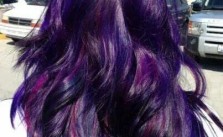 Purple Splash