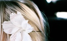 Flowers in Hair
