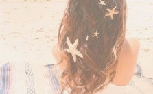 Starfish Clips