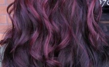 Violet Highlights