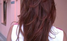 Long Red/Brown Hair