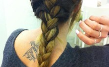 Dark French Fishtail