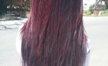 Dark Burgundy Cut